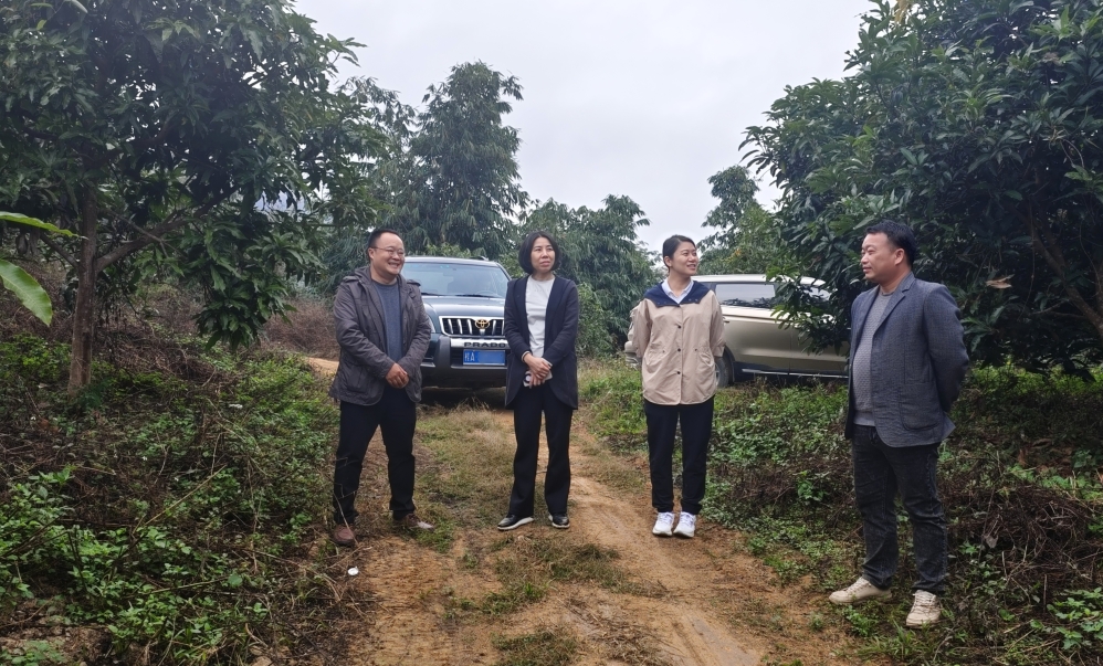 百乐森林舞会(中国游)官方网站