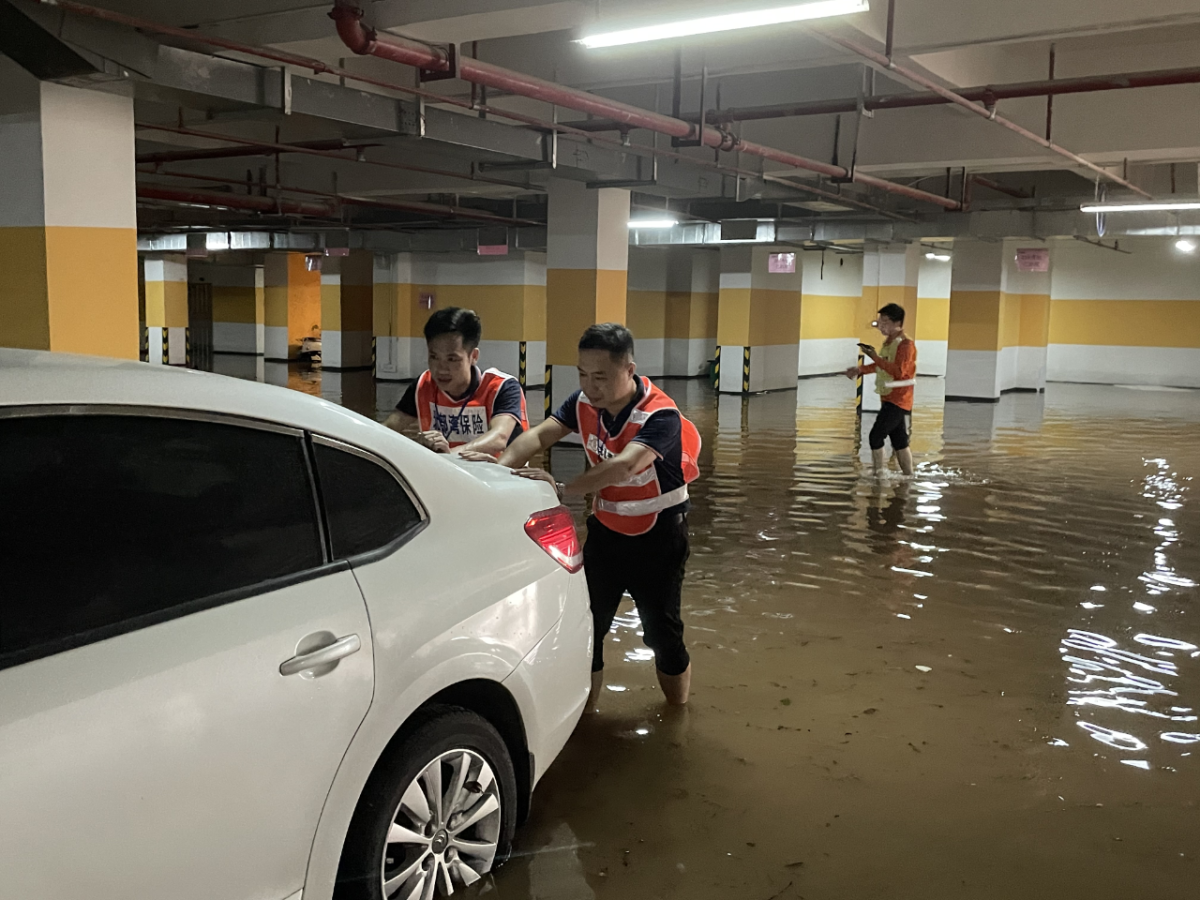 百乐森林舞会(中国游)官方网站